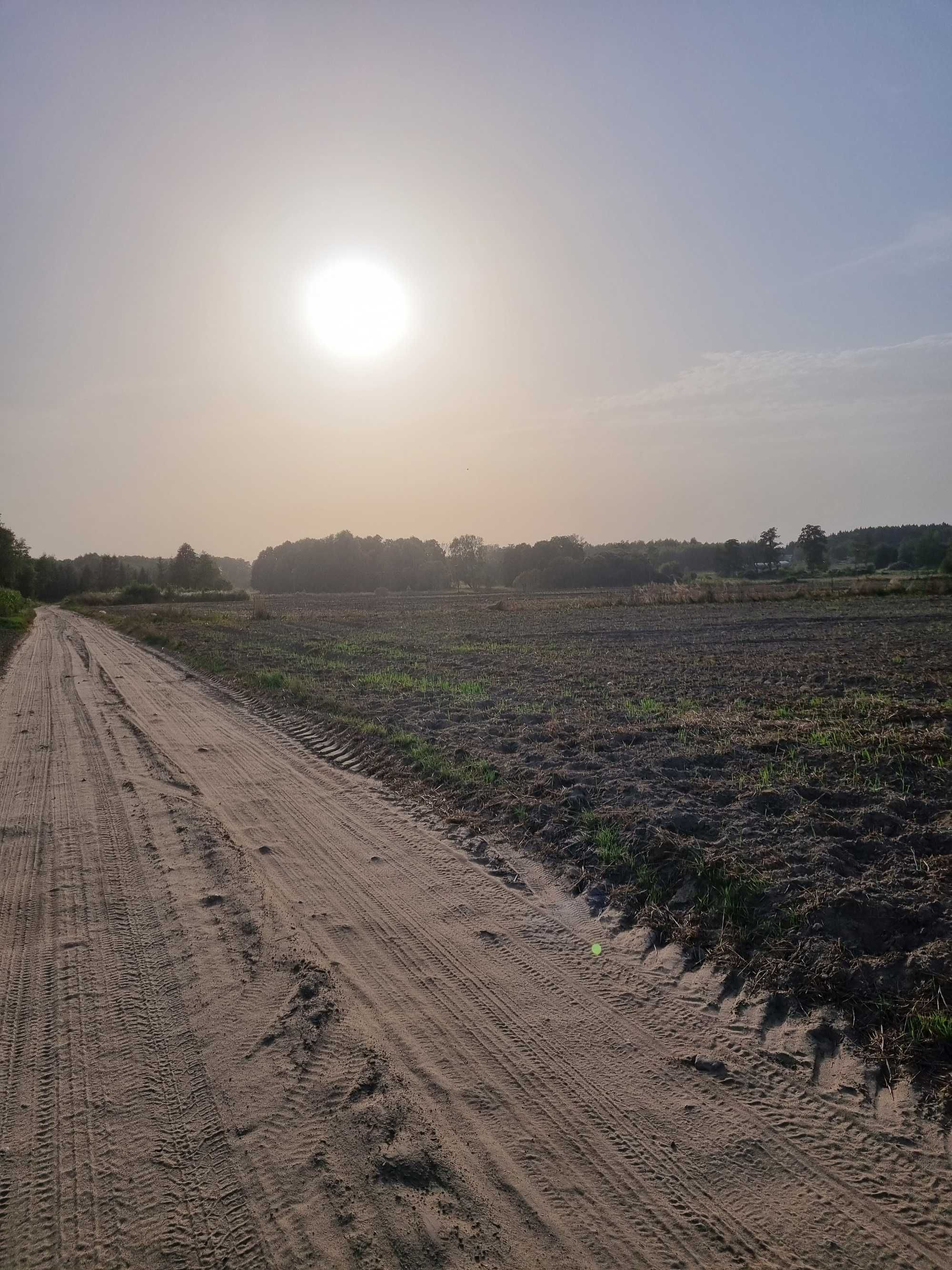 Wakacyjne noce las i widok gwiazd. Modrzewiowy domek nad Wkrą zaprasza