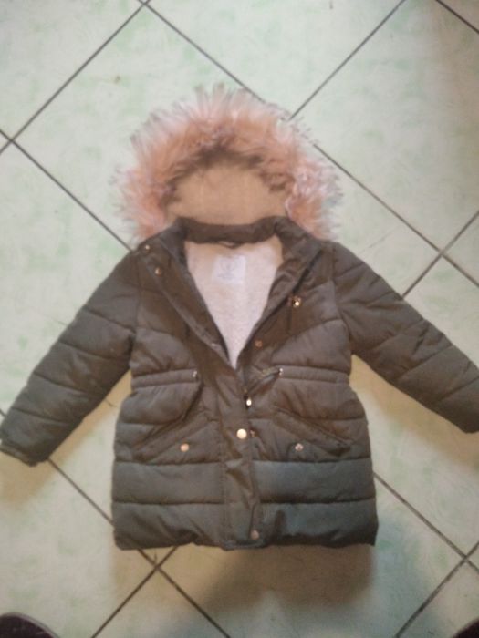 Kurteczka zimowa