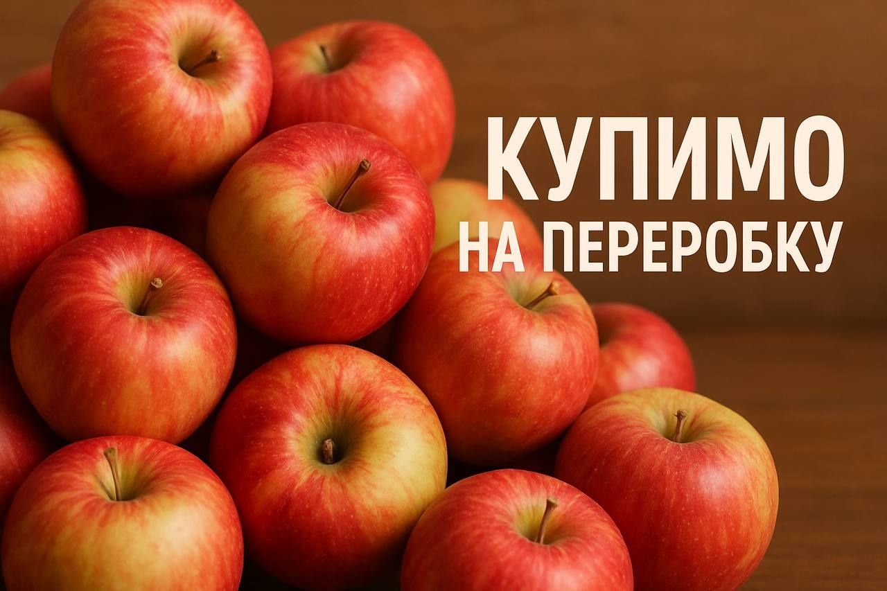 Яблука падалішні, дикі, трушені