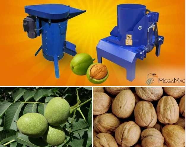 Máquina elétrica para descasque e lavagem de Nozes Verdes