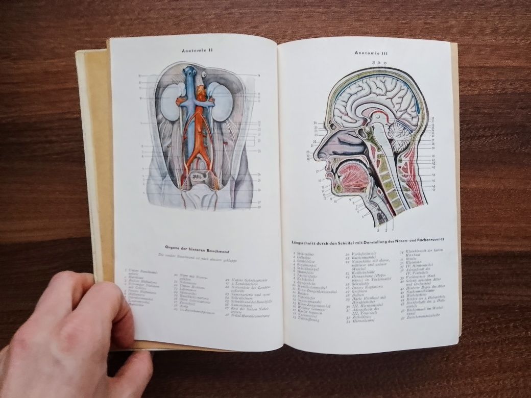 Kleine Enzyklopadie Gesundheit, 1960 r.