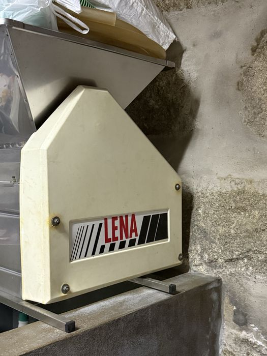 Esmagador de Uvas Elétrico em Inox, Usado