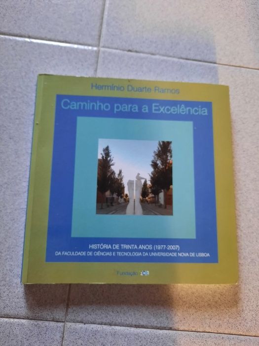 Caminho Para a Excelência (portes grátis)