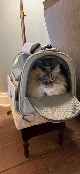 Torba transportowa transporter dla psa kota do samolotu