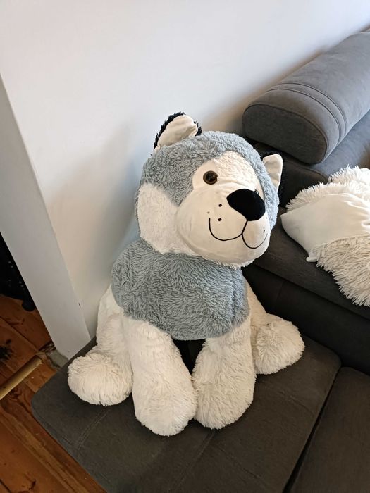 Miś pluszak maskotka pies piesek duży pluszak duża maskotka