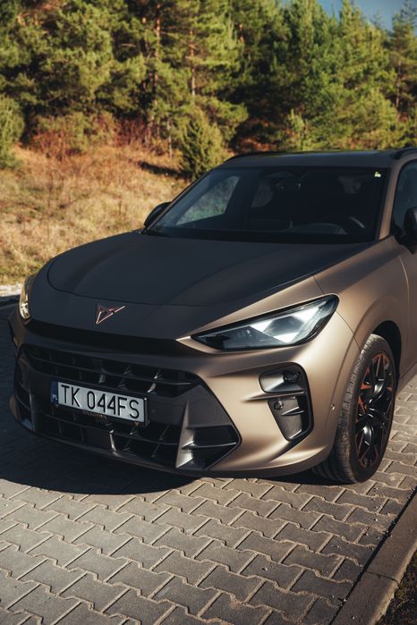 Cupra Terramar 265KM(AT) wynajem, wypożyczenie w AutoRide.pl