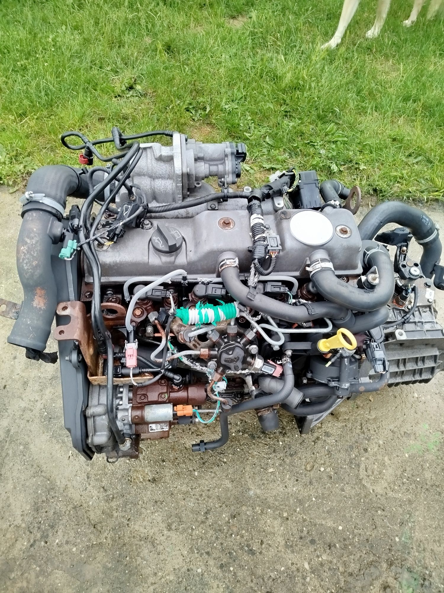 Silnik Ford Connect P9PA -7M 1.8 TDCI