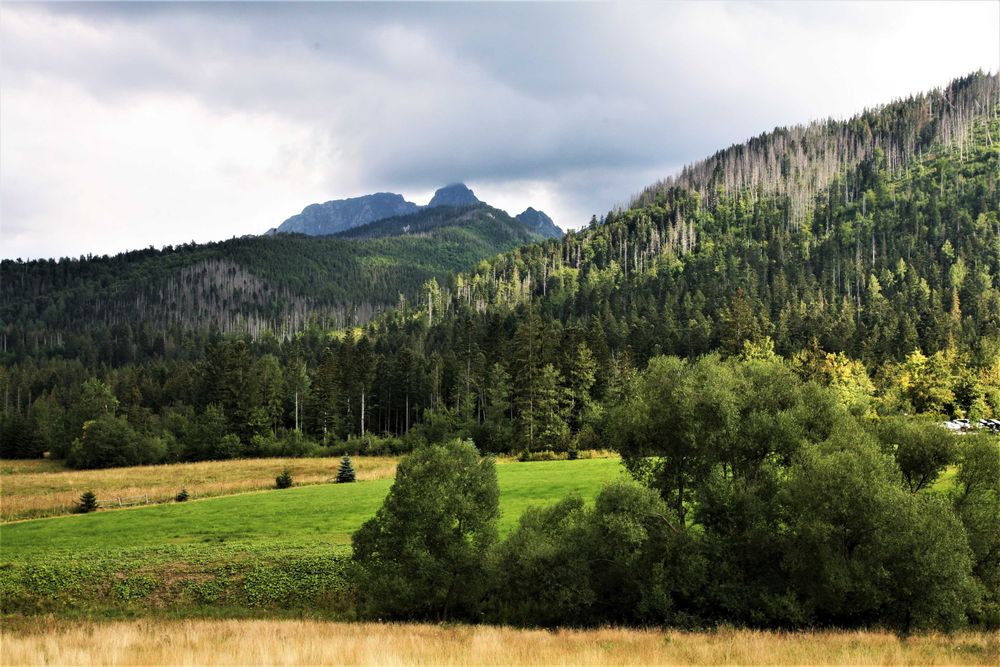 Apartament Strych TATRA REST Kościelisko, Zakopane. Nowy, stylowy