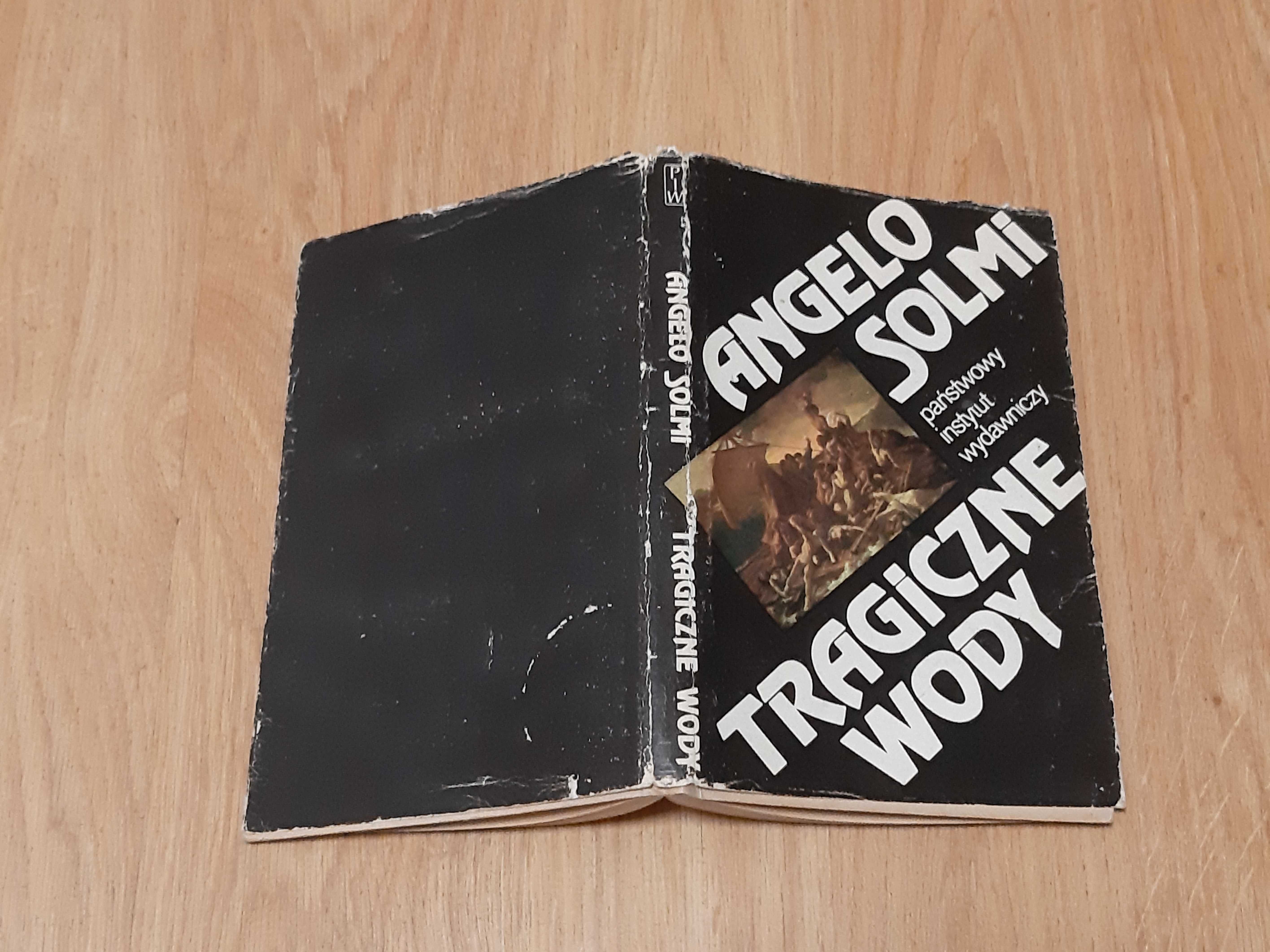 Angelo Solmi Tragiczne wody