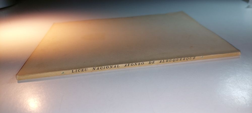 O Liceu Nacional Afonso de Albuquerque em Nova Goa - António Fernandes