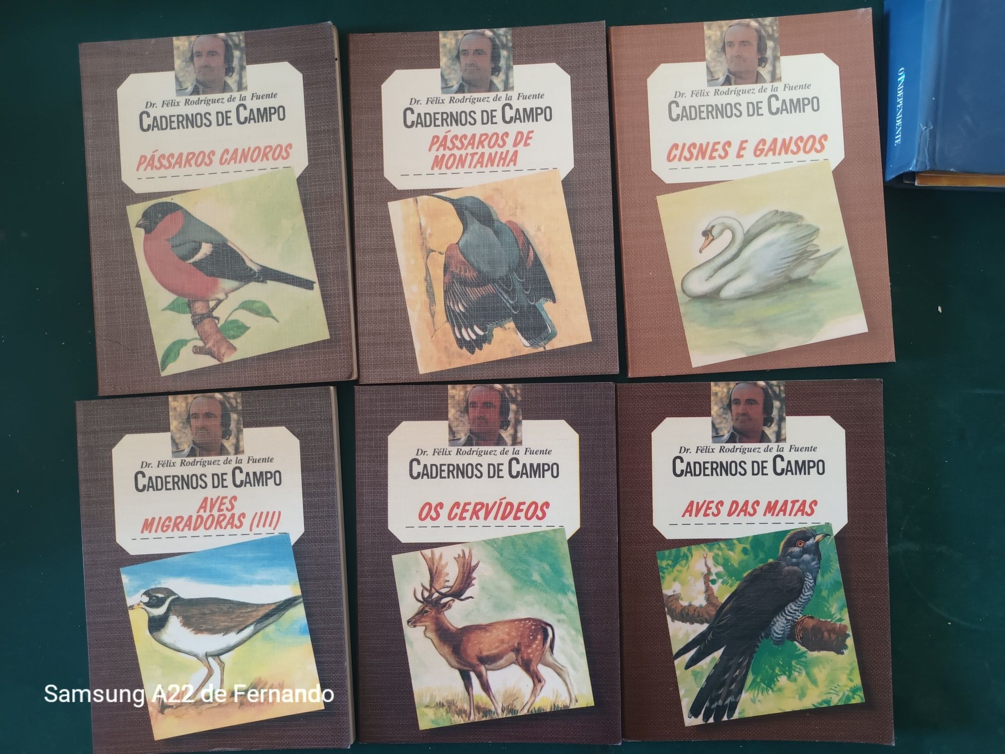 Cadernos do campo