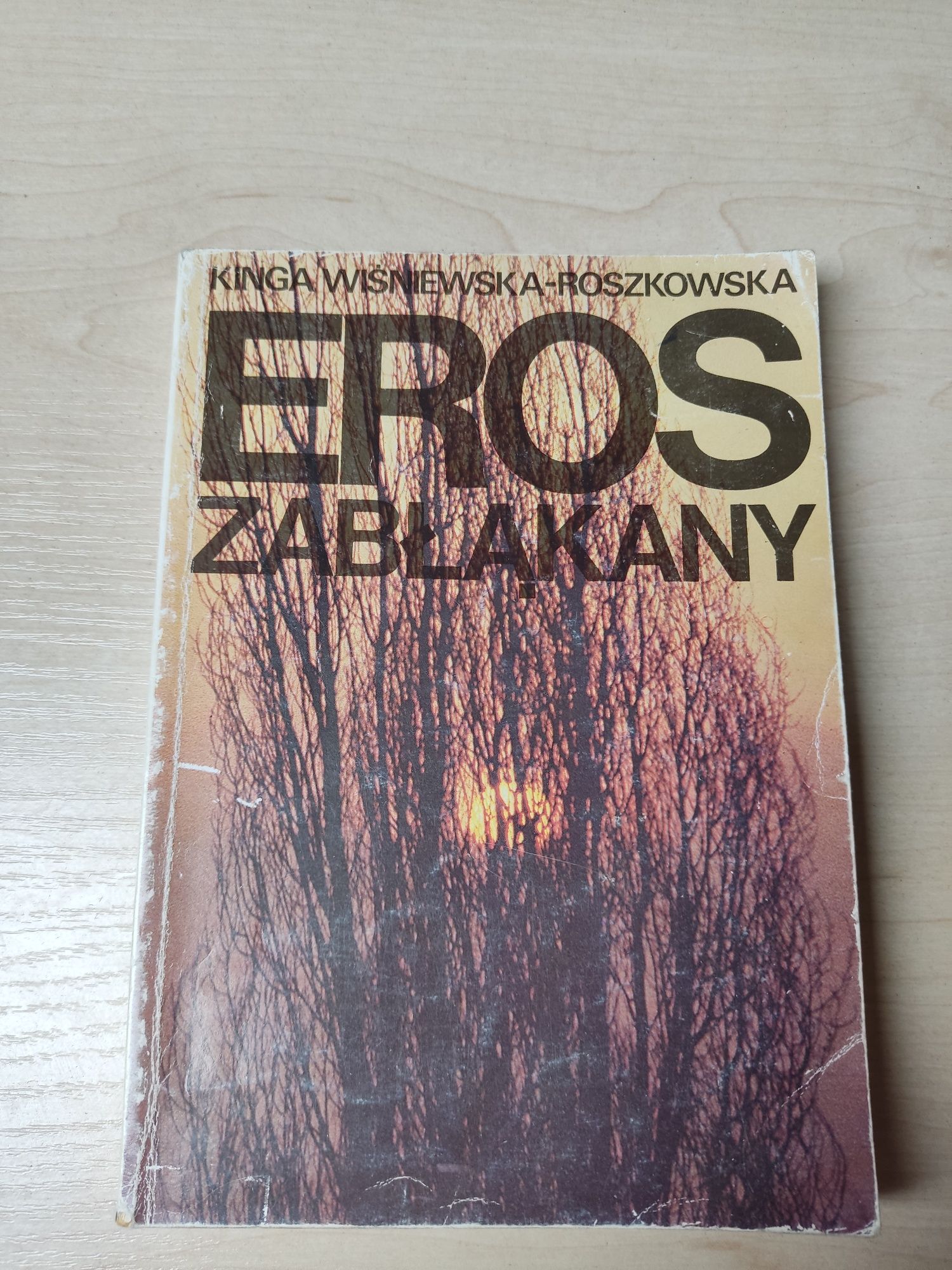 Eros zabłąkany Kinga Wiśniewska-Roszkowska książka