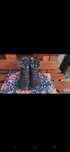 Buty zimowe damskie Columbia rozmiar 38.5