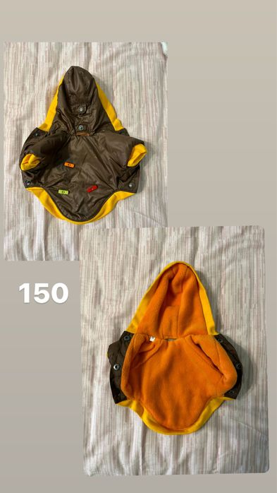 Одяг для собаки