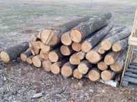 Стовпи дубові для огорожі і інших потреб 2метри та дрова для опалення