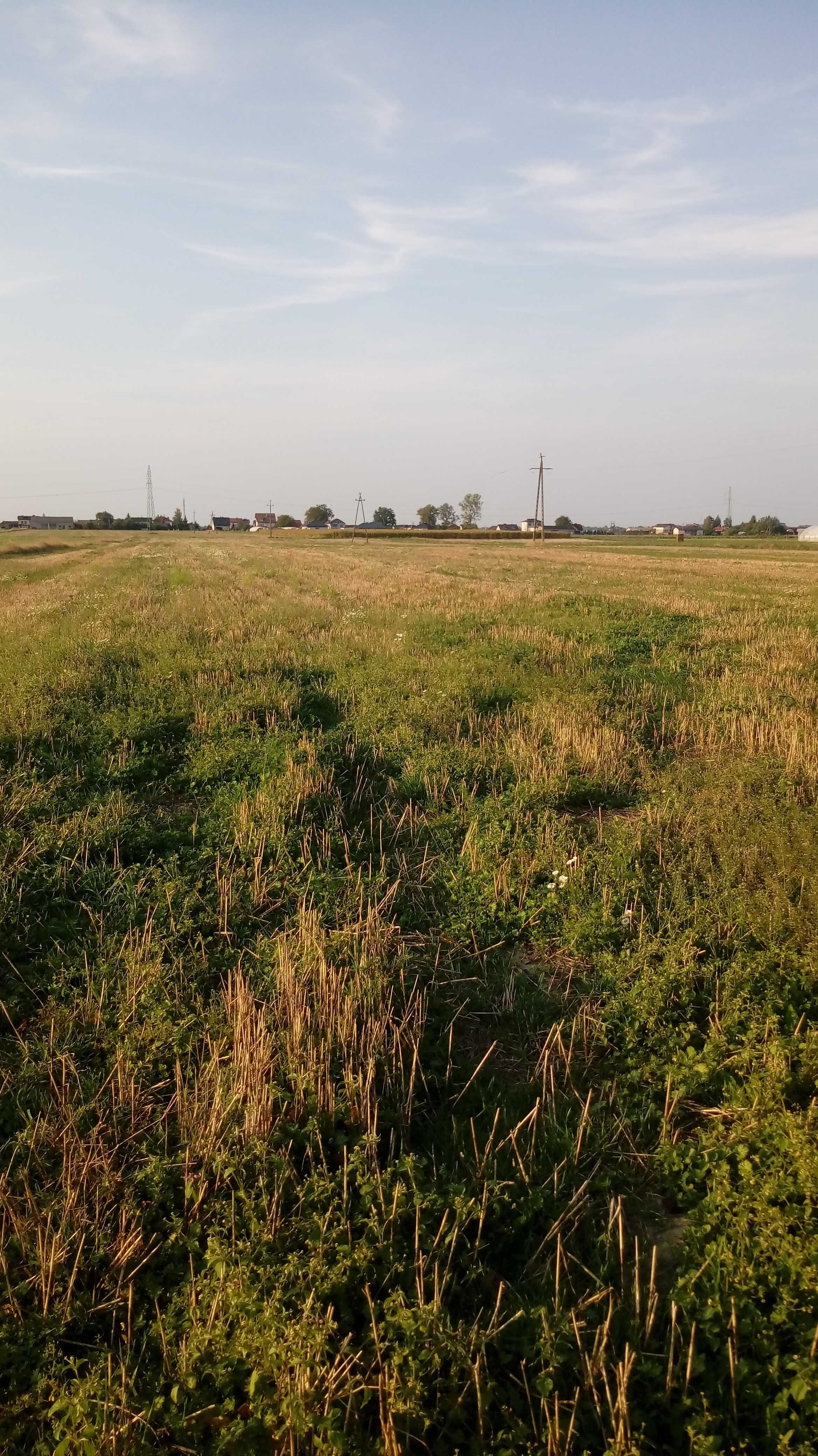 Działka budowlano-inwestycyjna 1,83 h okolice Piotrkowa Tryb.