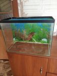 Продам акваріум 20*30*40