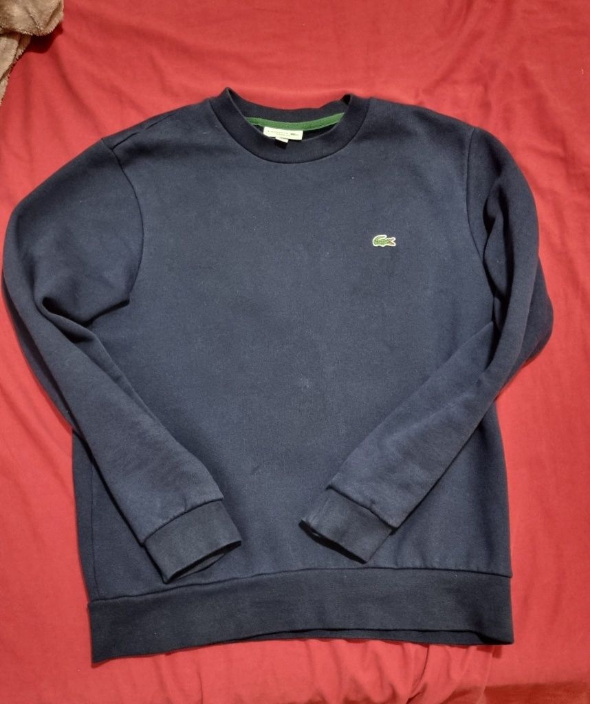 Camisola lacoste l