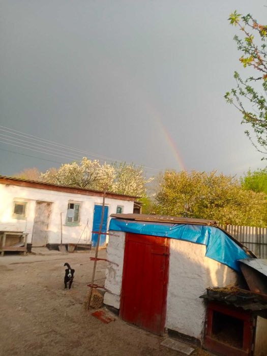 Продам будинок у селі