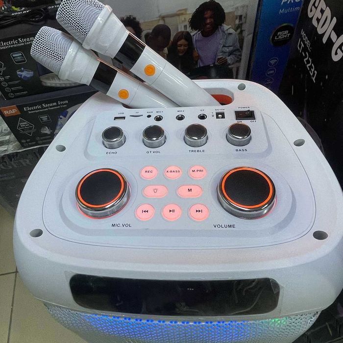 Большая мощная блютуз Колонка белая LT-2231 портативная акустика