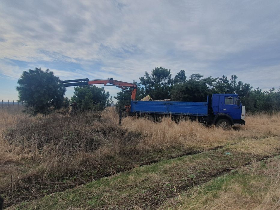 Услуги, аренда крана-манипулятора