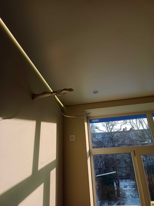 Натяжні стелі у вашій оселі