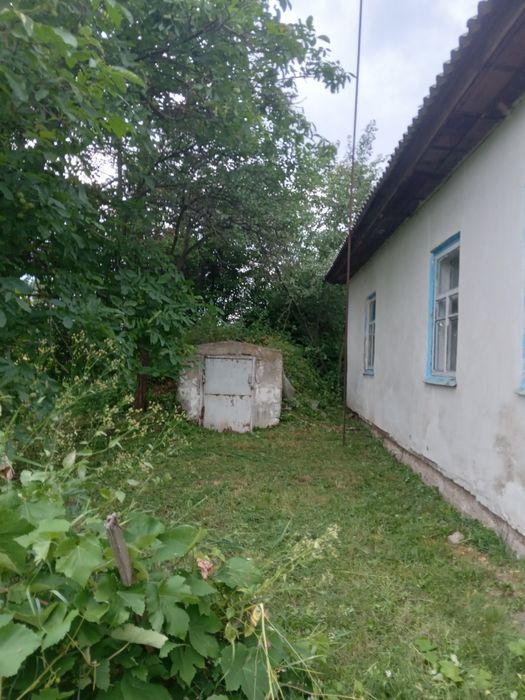 Будинок та земельна ділянка