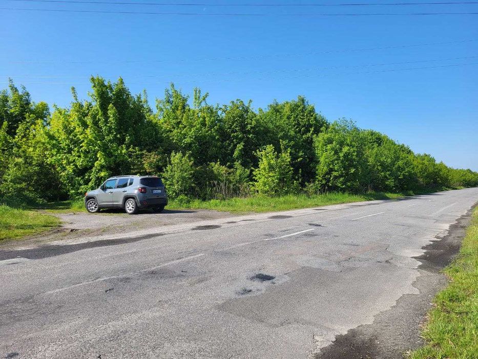 Фасадна ділянка 53.4 сотих.  Міжміський автошлях Т608 Рівне - Млинів
