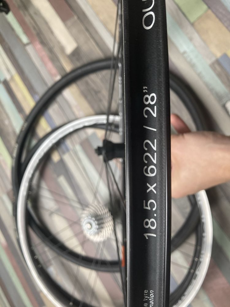 Campagnolo koła i kaseta