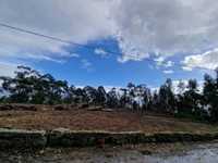 Terreno 2200m2 Luzim Penafiel