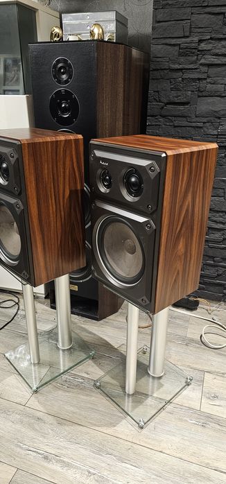 Kokumny monitory HECO PPS 30 Piękne!