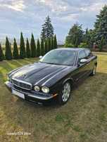 Jaguar Vander Plas