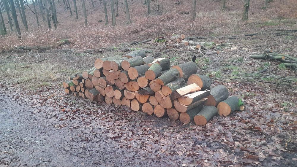 Twarde drewno opałowe