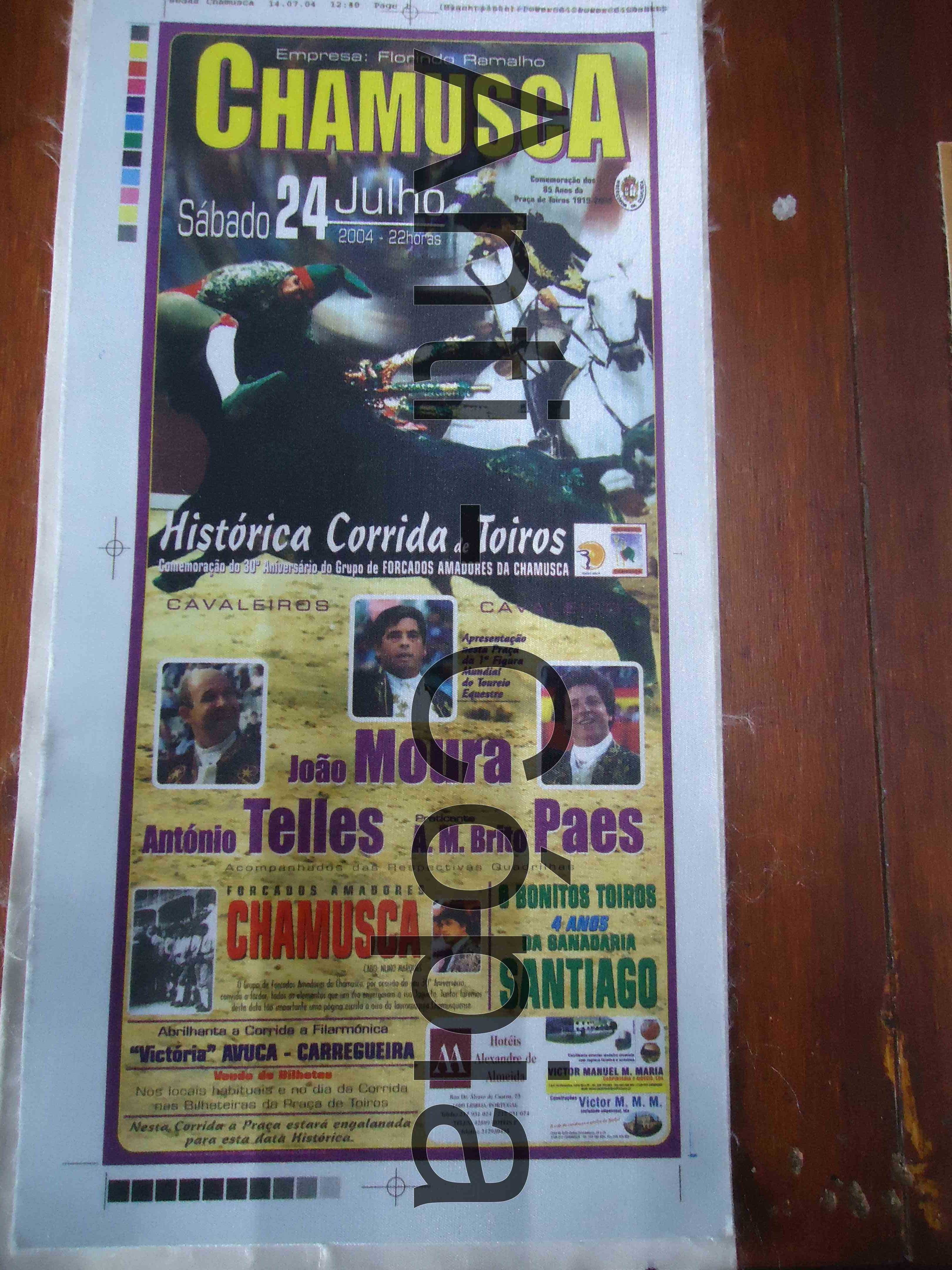 Toiros - Programas em Seda 3