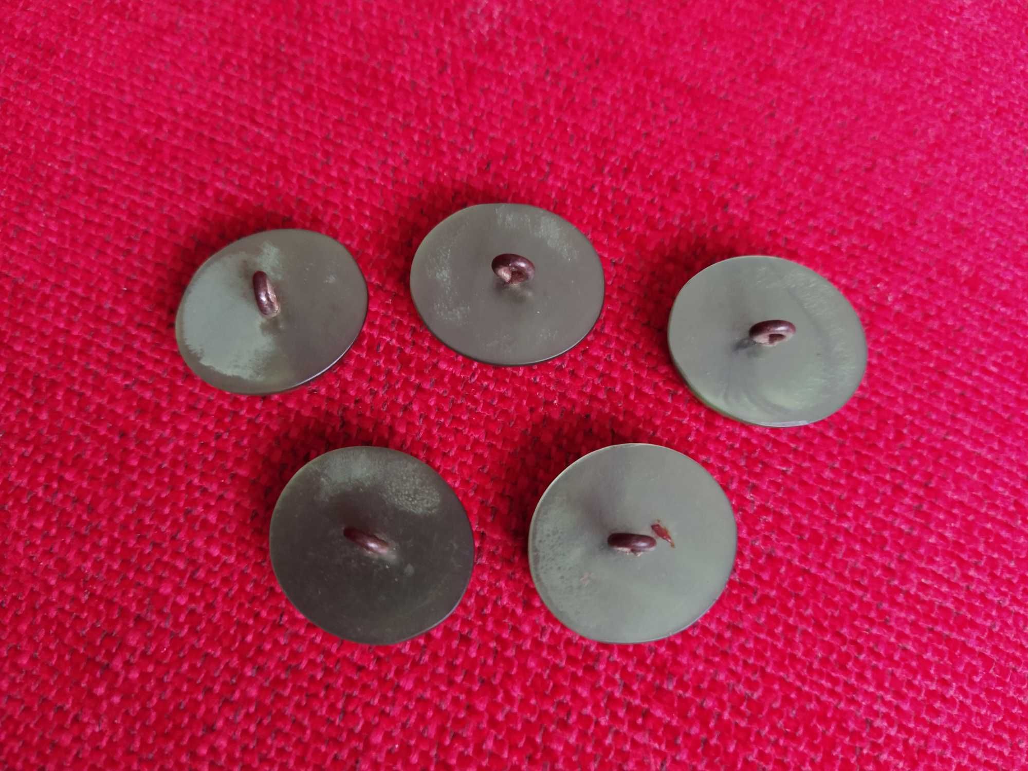 Conjunto 5 Botões Massa 2,5cm oval verde com pé metal