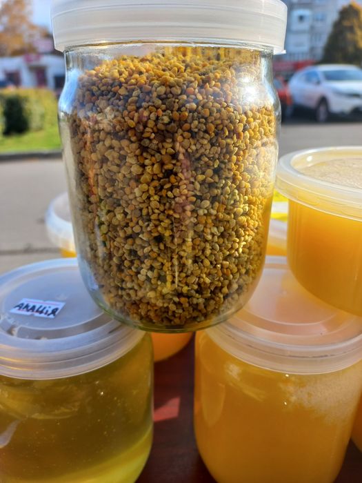 Пилок весняний ,пильца