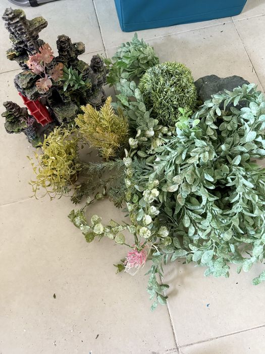 Plantas para aquario