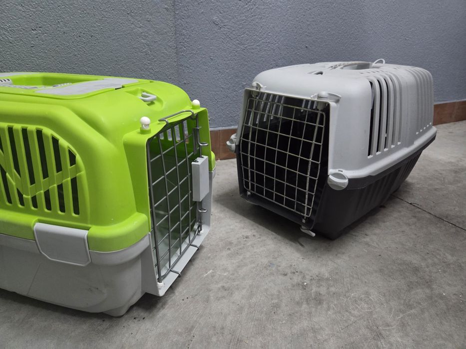 Transportador para gatos