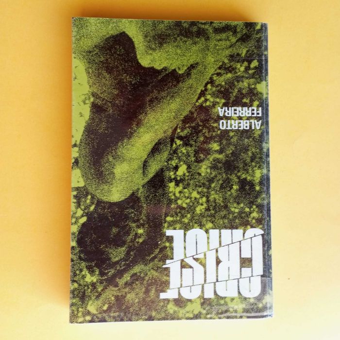 Coleção de Livros Mistos - Autores Variados - Conjunto 13
