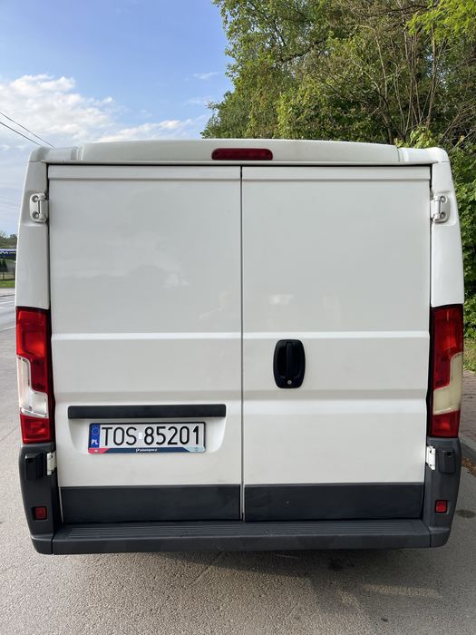 Do wynajęcia wypożyczenia bus dostawczy auto do transportu blaszak