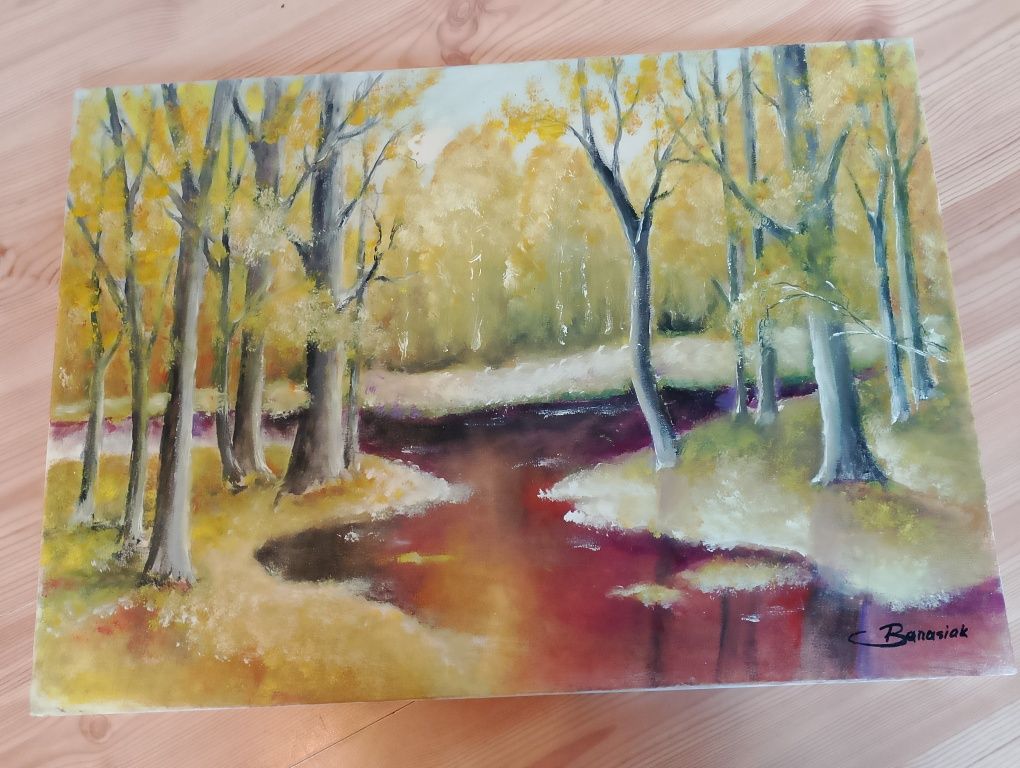 Obrazy malowane na płótnie 70/50 cm Natura