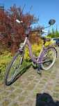 Rower miejski Kands S Comfort Velo 26"