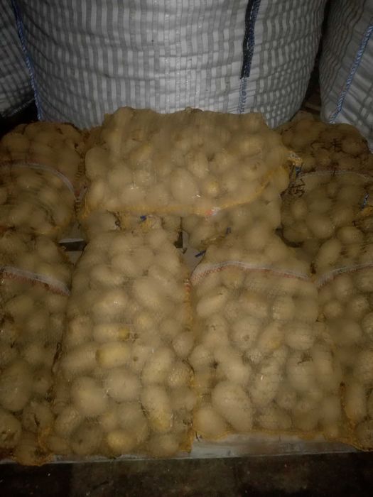 Ziemniaki drobne paszowe, odpadowe 30 gr