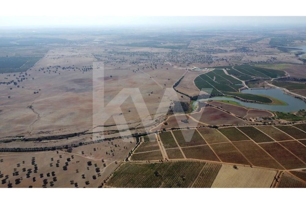 Herdade de amendoal em Beja com 79 ha