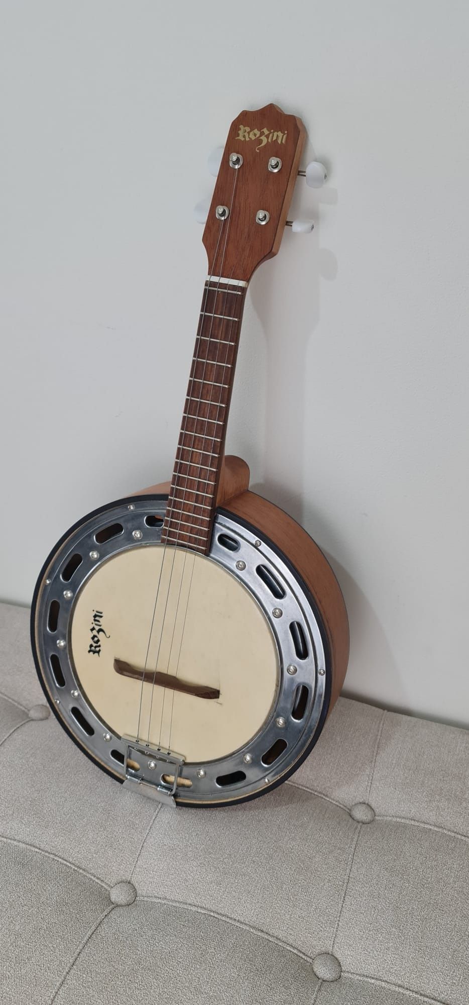 Banjo Brasileiro