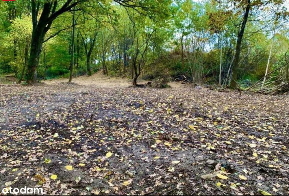 Działka budowlana 1819 m² w Żorach – Osiny - Bez pośredników