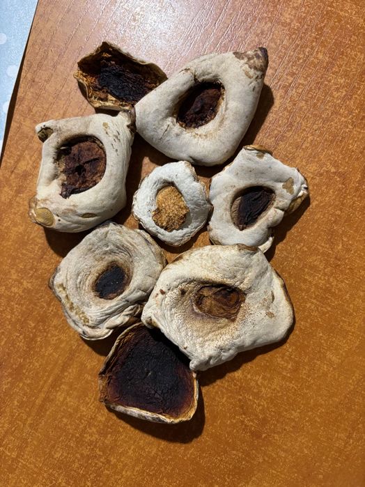 Prawdziwek 1 klasa, kapelusze w całości - 50zl/100g