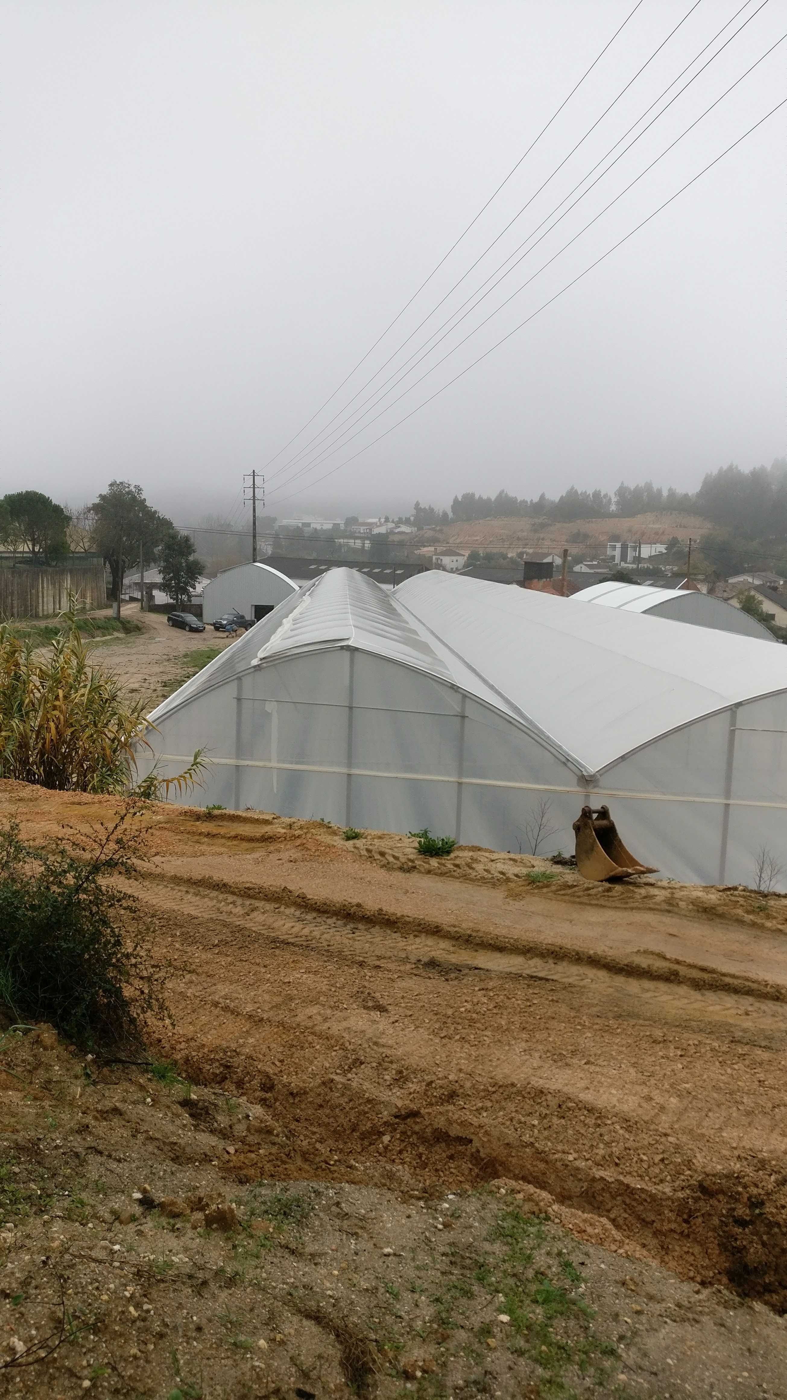 Estufa para produção em hidroponia hortícolas e morangos