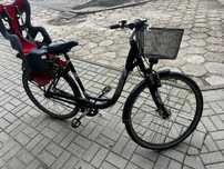 Rower damski Pegasus