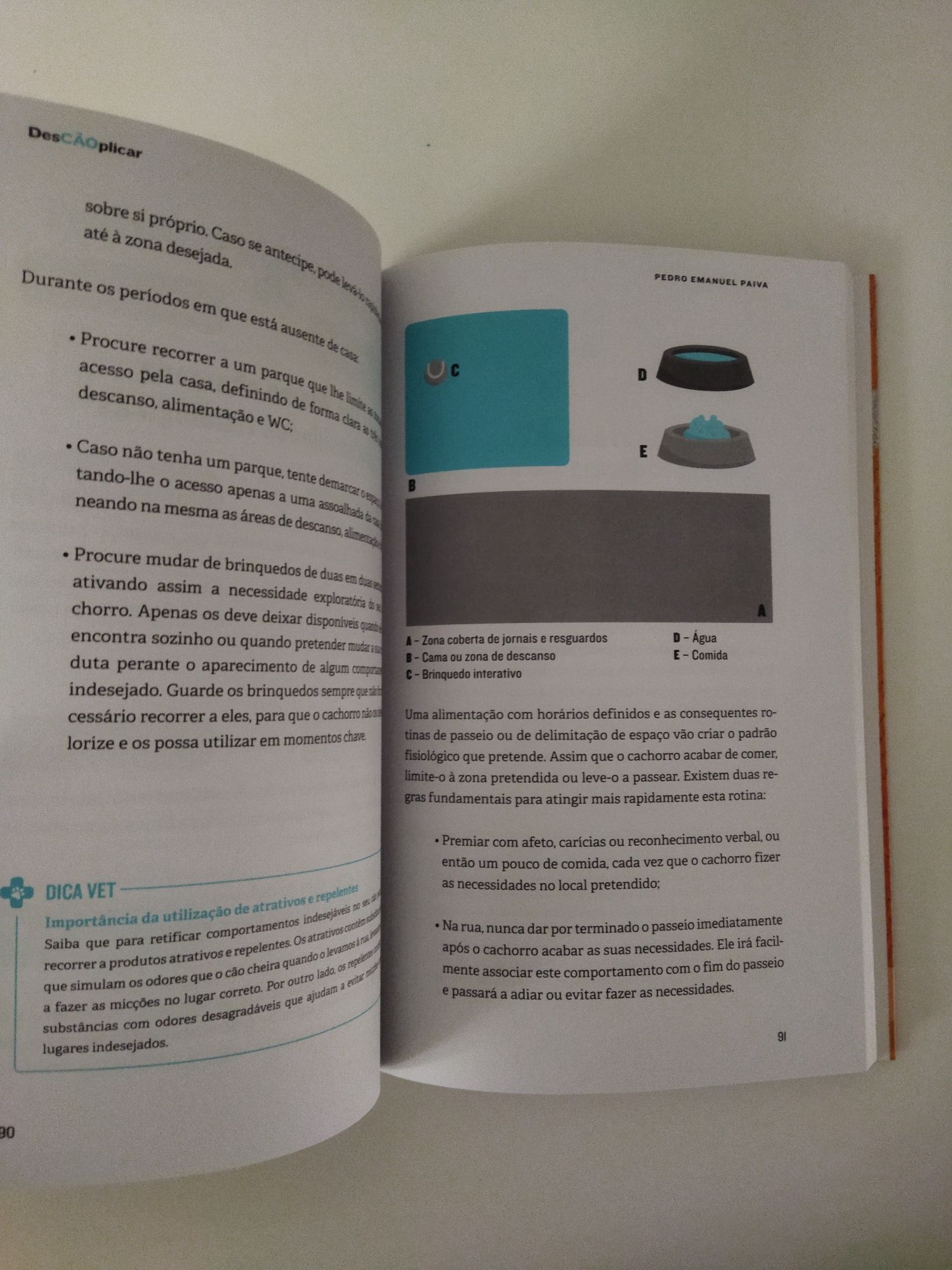 Livro "desCAOplicar"